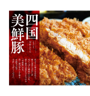 とことんこだわりとんかつ かつ村